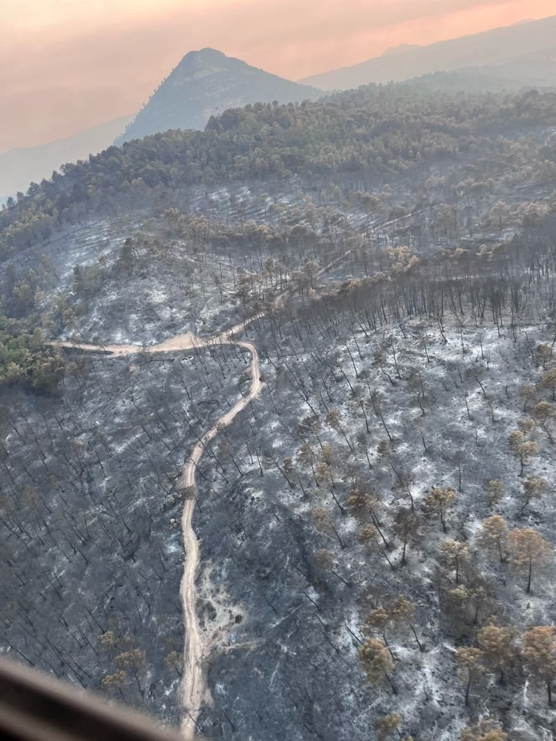 Luchtfoto vanuit een vliegtuig- of helikopterraam van het verbrande bosgebied bij de bosbrand in de Var, met een zandweg die door het zwartgeblakerde landschap slingert.