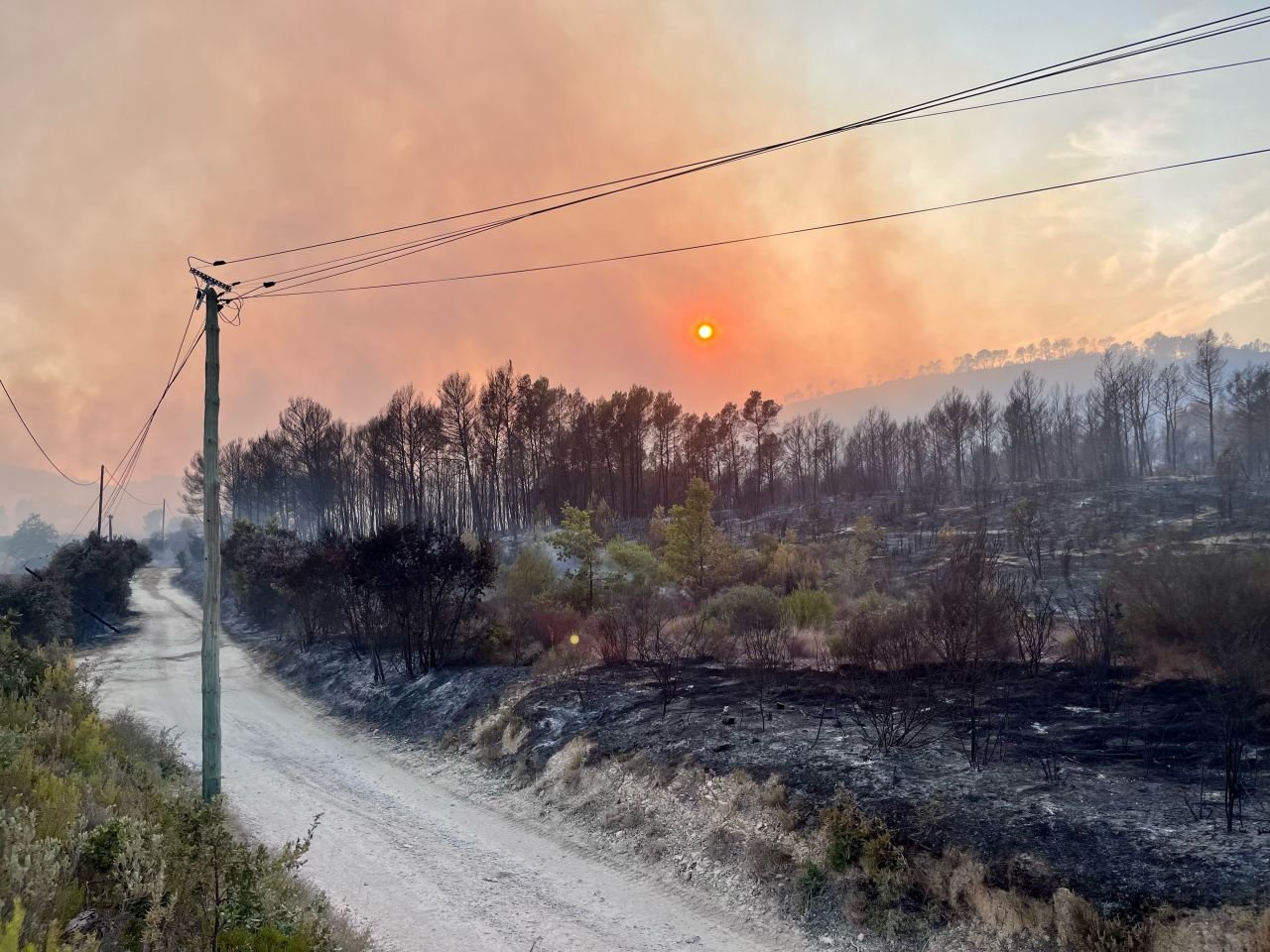 Onverharde weg langs verschroeide vegetatie in het brandgebied in de Var, met de zon die door dikke rook schijnt.