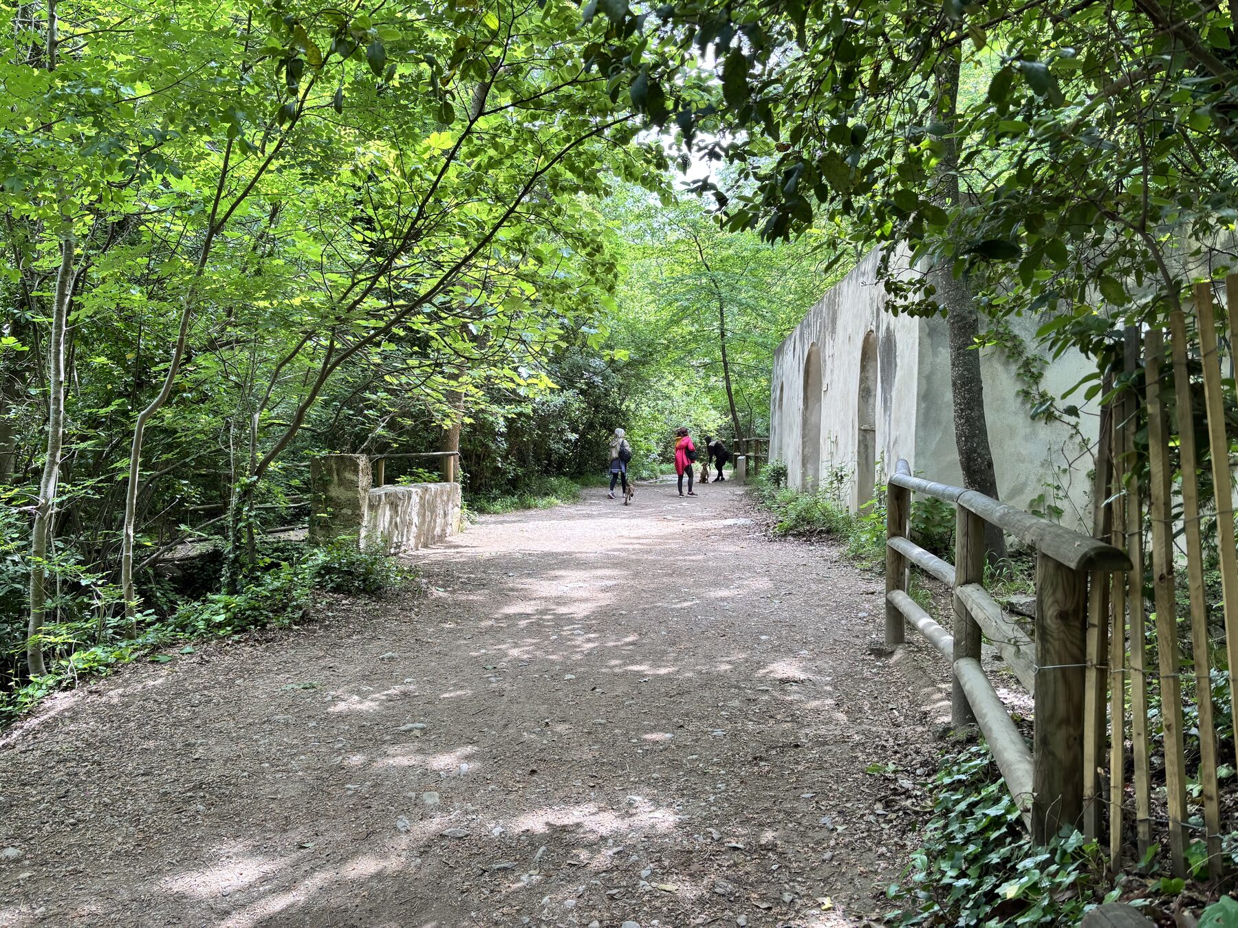 Wandelaars in de bomenlaan van het Parc de Saint-Pons bij Gémenos